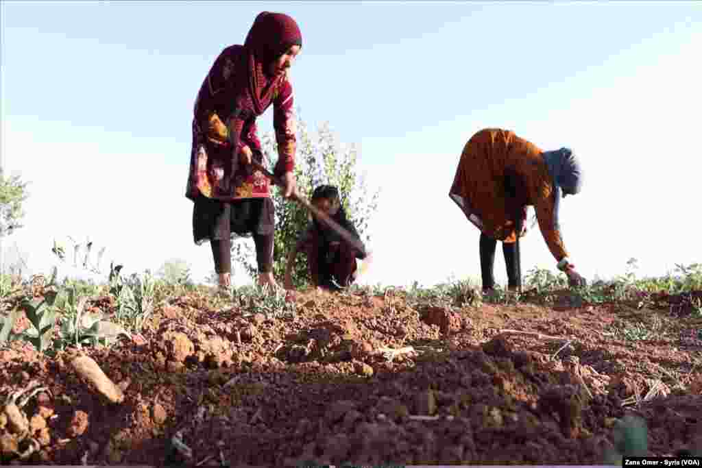 Jinên Karek li Bakur Û Rojhilatê Sûriyê
