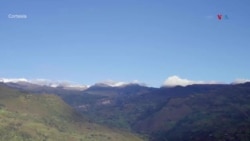 Diseñadoras colombianas promueven uso de tinta extraída de hoja de coca