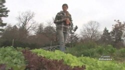 Фермерство стає модним серед молоді