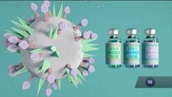 Дослідники розробляють універсальну вакцину проти усіх штамів грипу. Відео