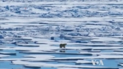 Arctic Losing Its Ice Sheet