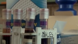 AIDS Vaccine Trial Underway in South Africa