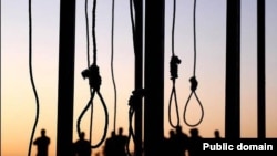 ایران همچنان بیشترین آمار اعدام را به خود اختصاص داده است 