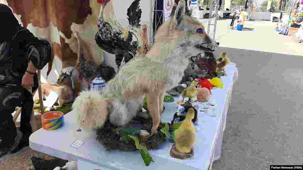 Heftemîn festîvala Hinaran li Helebce