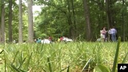 Virjiniya shtati, Lorton shahri, Meyson Nek bog'i