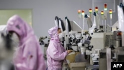 江苏省泗洪县一个芯片工厂的工人在生产线上。（2020年2月16日）