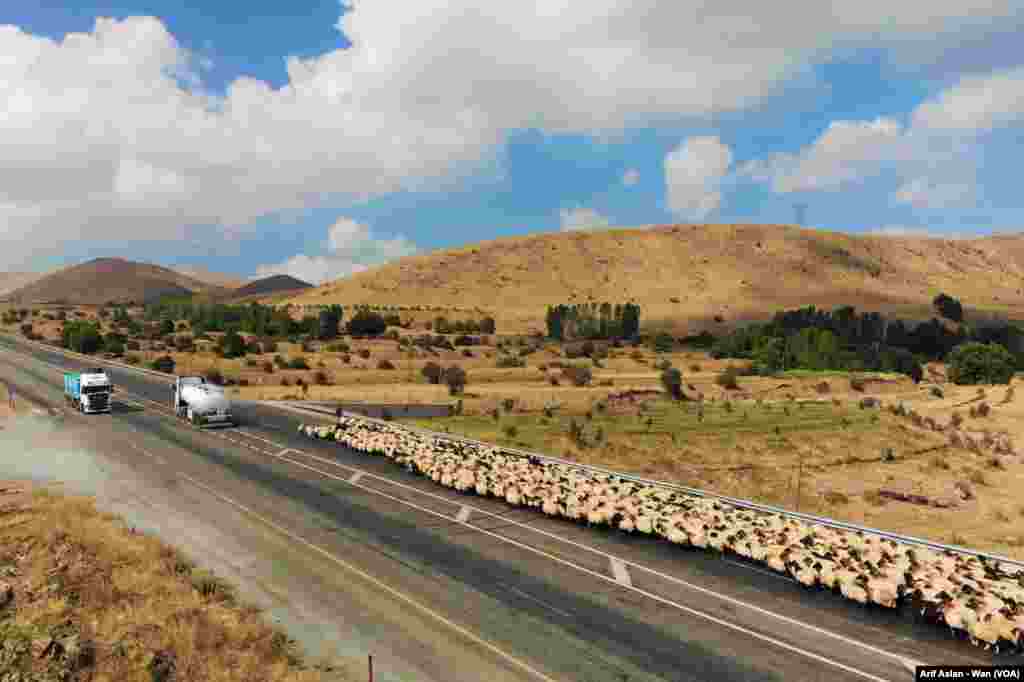 Koçer ji Zozanên Wanê Bar Dikin