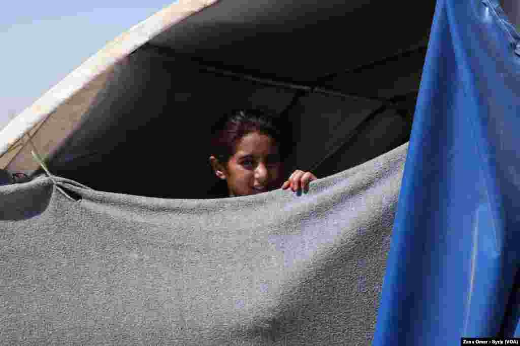 Kampa Waşokanî li Bakur û Rojhilatê Sûriyê