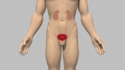 Le diabète: l’épidémie silencieuse