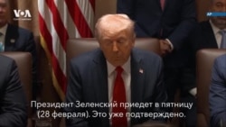 Трамп рассказал о мирных переговорах 