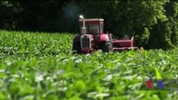 Ріст американської економіки – найшвидший за майже чотири роки. Відео