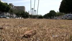 นักวิทยาศาสตร์เชื่อหน้าแล้งนี้สหรัฐฯน่าจะมีน้ำเพียงพอเนื่องจากมาตรการประหยัดน้ำ