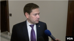 美國國會聯邦參議員魯比奧接受美國之音採訪(2019年11月14日)