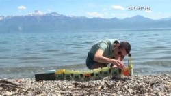 Robotic Eel Seeks Water Pollution, Aids Researchers