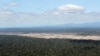 ARCHIVO - Una vista aérea muestra la deforestación causada por la minería ilegal de oro en Madre de Dios, Perú, el 17 de mayo de 2019. 