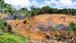 Kerusakan kawasan mengancam kebun percobaan Universitas Mulawarman. (Foto: Courtesy/Koalisi Dosen Unmul)