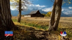 Amerika bo'ylab sayohat, biz bilan birga