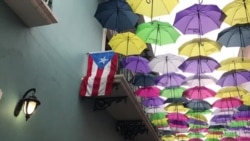 Exibición en Puerto Rico invita a apreciar el arte de la isla