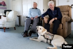 Former Republican President George H.W. Bush, left, and former President Bill Clinton, visiting Bush, pose for a photo with Sully, a yellow Labrador retriever who'll be Bush's first service dog at his home in Kennebunkport, Maine, June 25, 2018.
