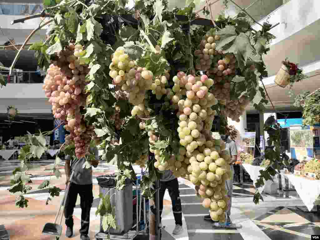 Festîvala Tirî û Hingivê li Duhokê