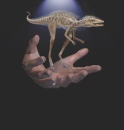 این نقاشی اندازه دایناسور «کونگونافون کلی» را در مقایسه با دست انسان نشان می دهد