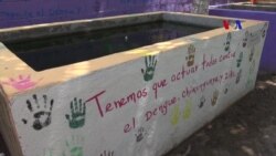 Peces para combatir al Zika