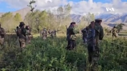 بلند رفتن قیمت تریاک، دهقانان را به کشت کوکنار ترغیب کرده است ـ یک دهقان در بدخشان