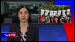 周末专辑 完整版（2018年6月30日）