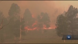 Головні події вихідних у світі та США. Відео