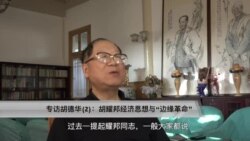 专访胡德华(2)：胡耀邦经济思想与“边缘革命”