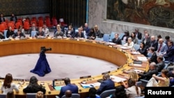 ՄԱԿ-ի Անվտանգության խորհրդի նիստ` համաշխարհային պարենային անվտանգության մասին