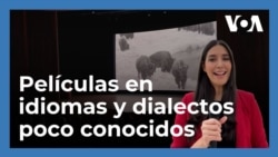 Washington celebra el Festival de Cine en Lengua Materna que expone películas en diferentes idiomas y dialectos 