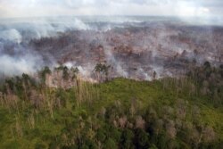Tampak udara kebakaran hutan yang terjadi di dekat desa Bokor, Kabupaten Kepulauan Meranti, Provinsi Riau, 15 Maret 2016. (Foto: Rony Muharrman/Antara Foto via REUTERS)