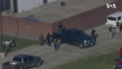 Щонайменше 8 застрелено у техаській школі. Відео