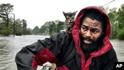 Роберт Сіммонс-молодший і його кошеня врятовані від затоплення. 14 вересня 2018 року, Нью-Берн, Північна Кароліна