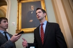 国会参议院经济政策小组委员会主席、阿肯色州共和党籍参议员汤姆·科顿