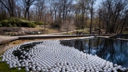 Yayoi Kusama's installation of floating orbs, "Narcissus Garden," is displayed at the New York Botanical Garden, Thursday, April 8, 2021 in New York.