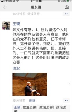 中国女企业家王瑛对美国之音说，请帮我发出这些图片，我的微信发不了。 （王瑛微信截图）