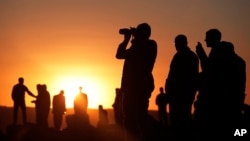 Dubai'de pembe flamingolar.