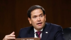 共和党联邦参议员鲁比奥（Sen. Marco Rubio, R-FL）