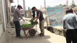 ماستر سبزی فروش