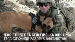 Американський військовий став господарем собаки, з якою служив в Афганістані. Відео