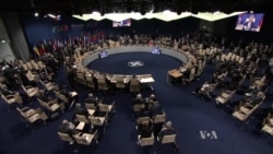 Trump's Challenge: The Powerful Women of NATO