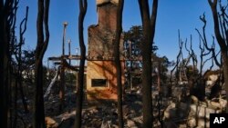 Burned trees surround a destroyed home leaving only the fireplace in Point Dume in Malibu, California, Nov. 11, 2018. 