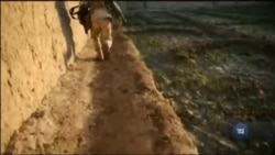 Чи відійде Трамп від курсу зовнішньої політики Обами? Оцінки експертів. Відео