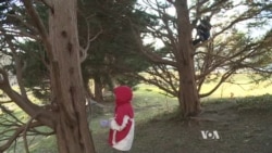 Controversial Parenting Style Invites Debate