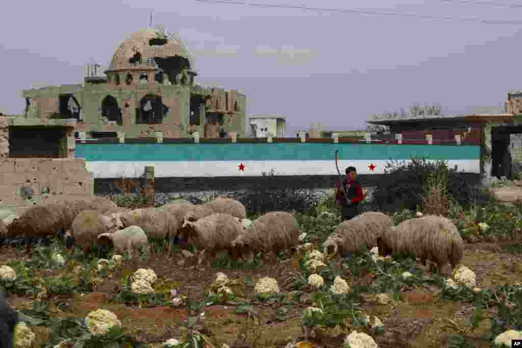 بقایای جنگ در حومهٔ دمشق، پایتخت سوریه