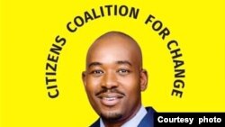 UMnu. Nelson Chamisa, umkhokheli webandla leCCC. (Courtesy Image)