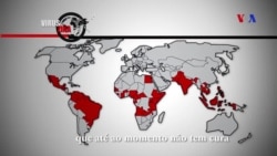 De onde vem o Zika e quais os sintomas?