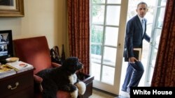 Oq uy, 6-noyabr, 2013